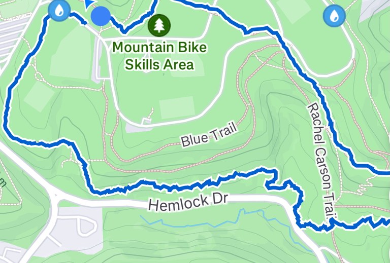 OPTOUTSIDE HIKE .jpg OPTOUTSIDE HIKE .jpg