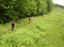 Atop Log Cabin Hill