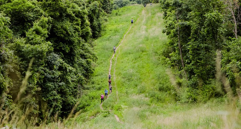 RICH HILL1.jpg RICH HILL1.jpg